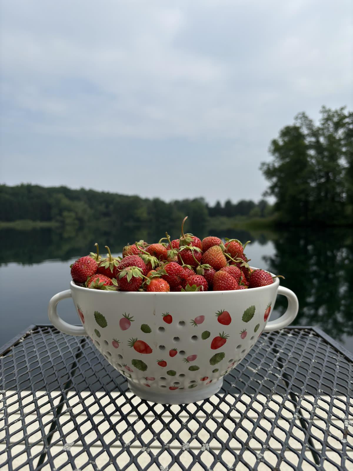 A moment from life on Promise View Acres