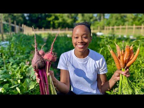 A Level Of Freedom No Harvest Has EVER Made Me Feel! *VLOG* garden to table, living room tour+ more!