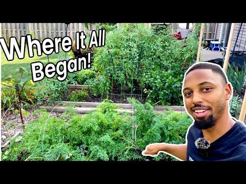 How a Backyard Garden Dream Turned Into a 21 Acre Reality! | Building a Homestead on Faith (ep.5)
