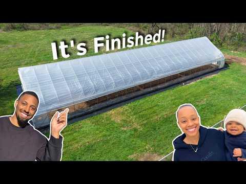 Our FREE Giant Greenhouse is Ready to Feed Us All Year! | Building a Homestead on Faith!