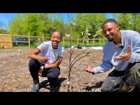 Planting Fruit Trees For Our 12,000 sq. ft Food Forest! | Building a Homestead on Faith!